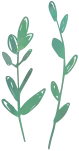 植物のイラスト