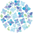 紫陽花のイラスト